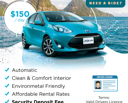 Naim's-Car-Rental-Flyer