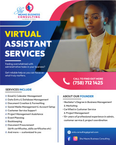 She Means Business Virtual Assistant Flyer Design