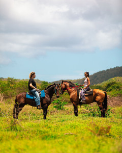 Romantic couple riding their horse on the farm during a wedding photoshoot